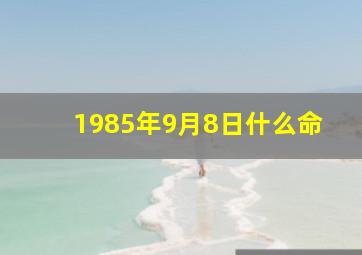 1985年9月8日什么命