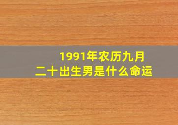 1991年农历九月二十出生男是什么命运