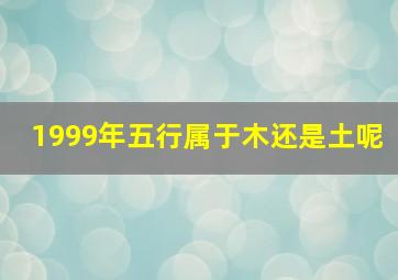 1999年五行属于木还是土呢