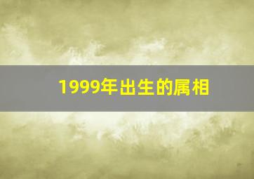 1999年出生的属相