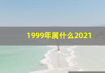 1999年属什么2021