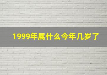 1999年属什么今年几岁了