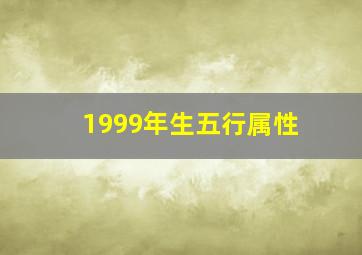 1999年生五行属性