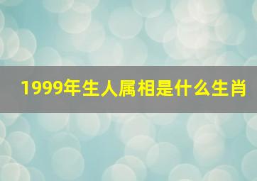 1999年生人属相是什么生肖