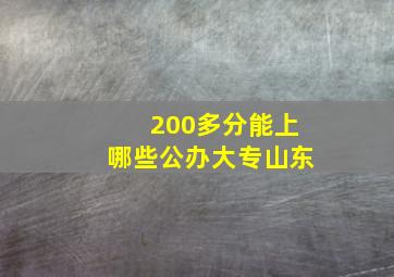 200多分能上哪些公办大专山东