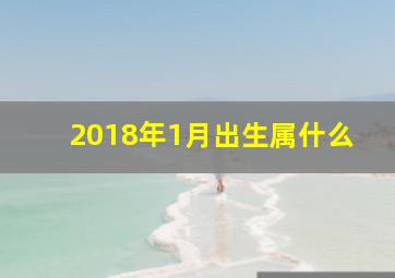 2018年1月出生属什么