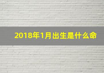 2018年1月出生是什么命