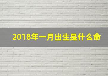 2018年一月出生是什么命