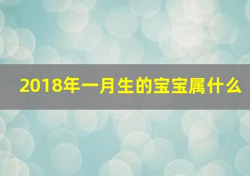 2018年一月生的宝宝属什么