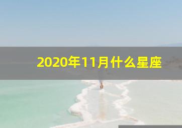 2020年11月什么星座