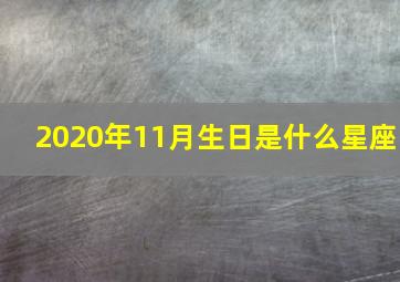 2020年11月生日是什么星座