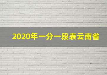 2020年一分一段表云南省