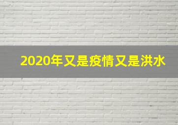 2020年又是疫情又是洪水