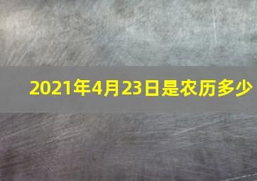 2021年4月23日是农历多少