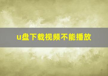 u盘下载视频不能播放