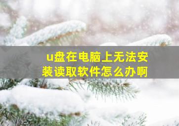 u盘在电脑上无法安装读取软件怎么办啊