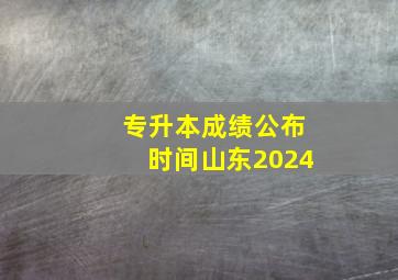 专升本成绩公布时间山东2024