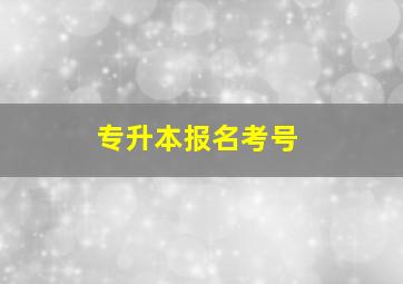 专升本报名考号