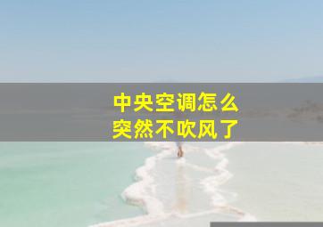 中央空调怎么突然不吹风了