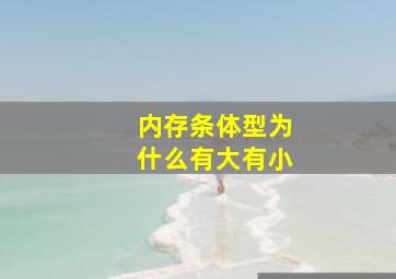 内存条体型为什么有大有小