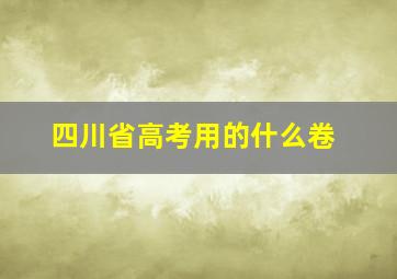 四川省高考用的什么卷