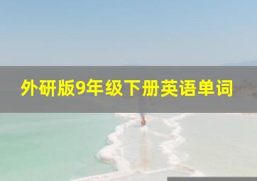 外研版9年级下册英语单词