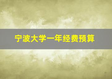 宁波大学一年经费预算