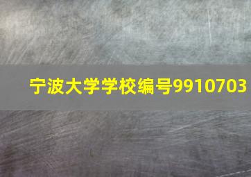 宁波大学学校编号9910703