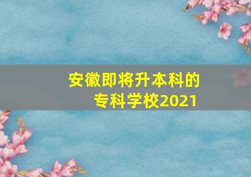 安徽即将升本科的专科学校2021