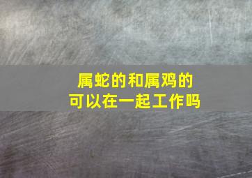 属蛇的和属鸡的可以在一起工作吗