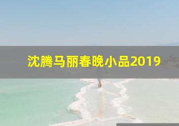 沈腾马丽春晚小品2019