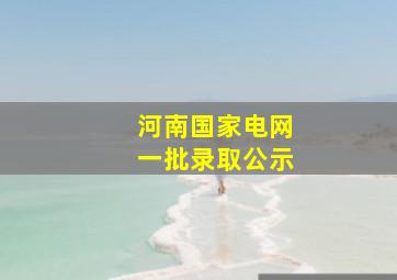 河南国家电网一批录取公示