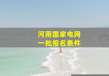 河南国家电网一批报名条件