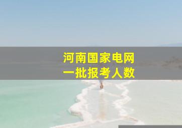 河南国家电网一批报考人数