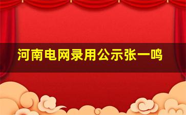 河南电网录用公示张一鸣