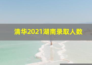 清华2021湖南录取人数