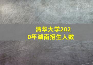 清华大学2020年湖南招生人数