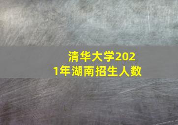 清华大学2021年湖南招生人数