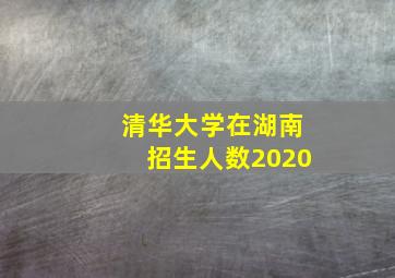 清华大学在湖南招生人数2020