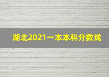 湖北2021一本本科分数线