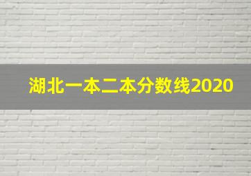 湖北一本二本分数线2020