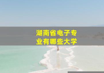 湖南省电子专业有哪些大学