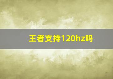 王者支持120hz吗