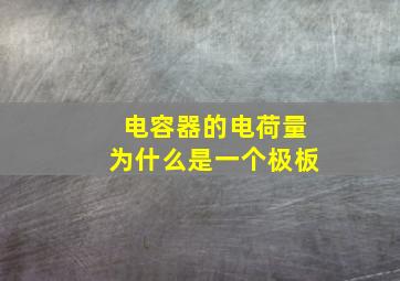 电容器的电荷量为什么是一个极板