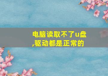 电脑读取不了u盘,驱动都是正常的