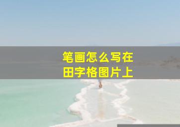 笔画怎么写在田字格图片上