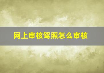 网上审核驾照怎么审核