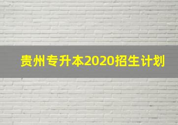 贵州专升本2020招生计划