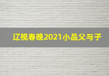 辽视春晚2021小品父与子