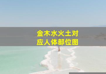 金木水火土对应人体部位图